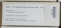 Image Associated With the Occurence
